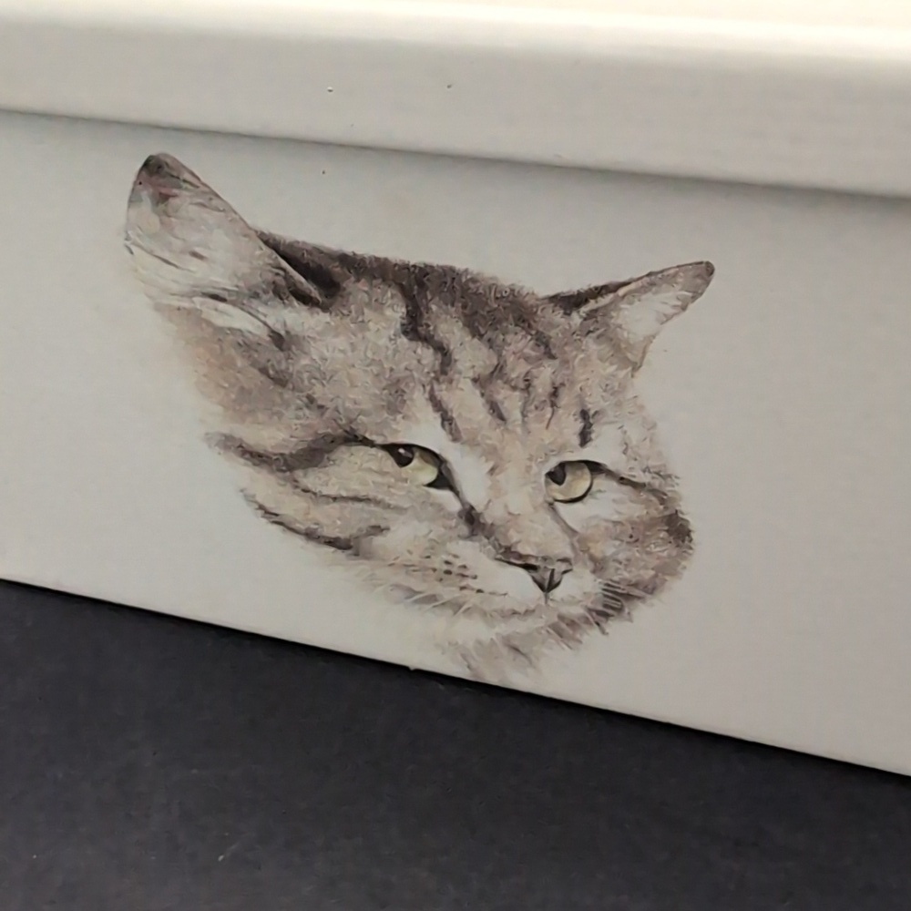 VGT,Massilly France Rectangular Off-white Lidded Tin with Cat Illustrations. - Picture 6 of 13